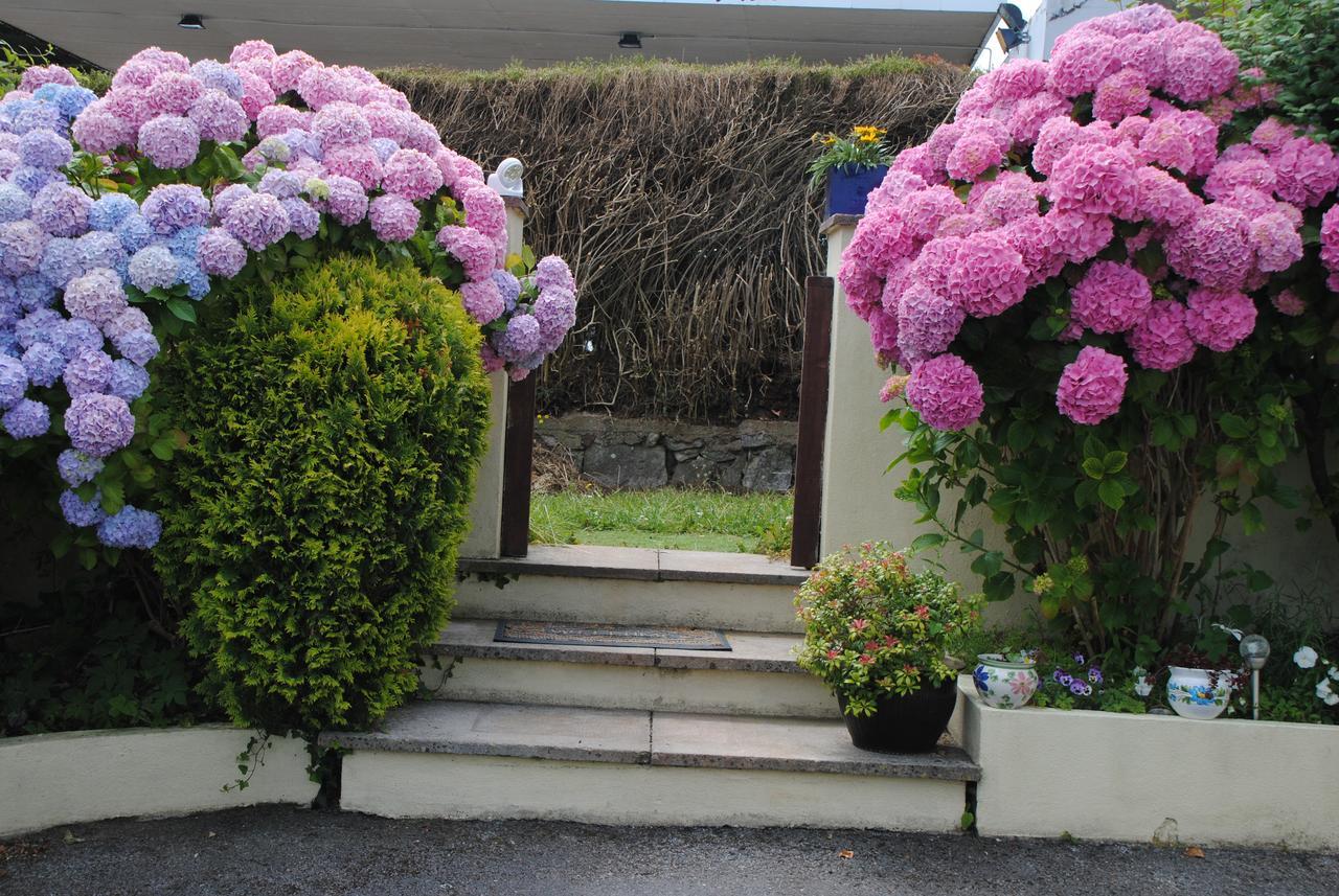 Huccaby Tor Apartmernt Torquay Exteriör bild